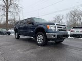 Used 2013 Ford F150 XLT w/ Luxury Equipment Group image 5