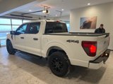 New 2025 Ford F150 STX w/ STX Black Appearance Package image 4