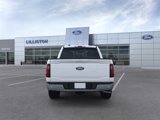New 2025 Ford F150 XLT w/ Equipment Group 302A MID image 5