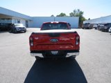 New 2024 Ford Ranger XLT w/ Trailer Tow Package image 6
