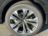 New 2025 Audi Q8 Premium Plus image 4