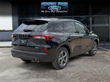 New 2025 Ford Escape ST-Line w/ Cold Weather Package image 5