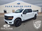 New 2025 Ford F150 XLT image 1
