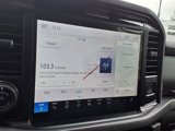 New 2025 Ford F150 XLT w/ Equipment Group 302A MID image 4