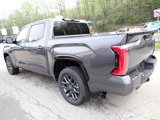 New 2025 Toyota Tundra Platinum image 6