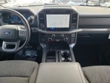 New 2025 Ford F150 XLT w/ Equipment Group 302A MID image 2