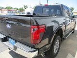 New 2024 Ford F150 XLT w/ Equipment Group 302A MID image 5