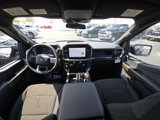New 2025 Ford F150 STX image 2