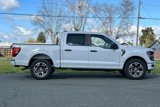 New 2025 Ford F150 STX w/ Equipment Group 200A image 3
