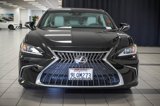 Certified 2024 Lexus ES 300h w/ Premium Package image 4