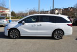 New 2025 Honda Odyssey Elite image 4