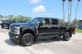 Used 2024 Ford F250 Platinum image 5