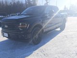 New 2025 Ford F150 XLT w/ Equipment Group 302A MID image 3