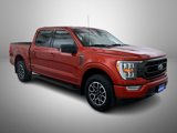 Used 2023 Ford F150 XLT w/ Equipment Group 302A High image 3