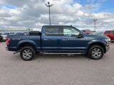 Used 2020 Ford F150 XLT w/ Equipment Group 302A Luxury image 6