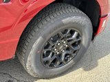 New 2025 Ford F150 XLT w/ Equipment Group 302A MID image 6