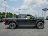 New 2025 Ford F150 Raptor image 2