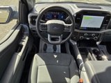 New 2025 Ford F150 XLT w/ Equipment Group 302A MID image 4