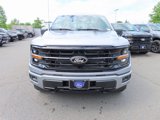New 2025 Ford F150 XLT image 2