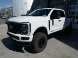 Certified 2024 Ford F250 XL w/ STX Appearance Package image 5