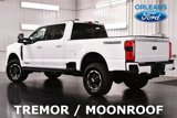 Used 2025 Ford F250 XLT w/ Black Appearance Package image 5