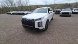 New 2025 Hyundai Palisade Calligraphy image 1