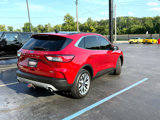 Used 2020 Ford Escape Titanium image 3