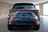 New 2026 Lexus NX 350 AWD w/ Premium Package image 4
