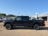 New 2025 Ford F250 Platinum image 2
