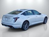New 2025 Cadillac CT5 Sport w/ Sun And Sound Package image 6