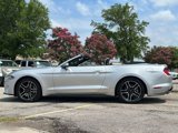 Used 2019 Ford Mustang Premium image 4