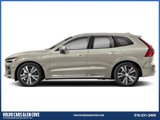 New 2025 Volvo XC60 T8 Plus w/ Protection Package Premier image 3