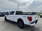 Certified 2022 Ford F150 XLT w/ Equipment Group 302A High image 6