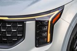 New 2025 Kia Carnival SX image 5