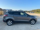 Used 2014 Ford Escape SE w/ Equipment Group 201A image 5