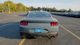 New 2024 Ford Mustang Premium image 4