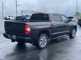Used 2019 Toyota Tundra 1794 Edition image 4