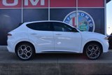 New 2025 Alfa Romeo Tonale Tributo Italiano image 2
