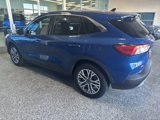 Certified 2022 Ford Escape SEL image 4