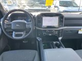 New 2025 Ford F150 XLT w/ Equipment Group 303A High image 5