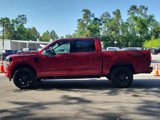 New 2025 Ford F150 XLT w/ Equipment Group 302A MID image 4