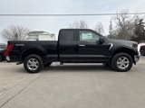 New 2025 Ford F150 XLT w/ Equipment Group 301A Standard image 5