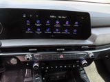 New 2025 Kia Telluride SX Prestige X-Pro image 5