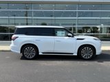 New 2025 INFINITI QX80 Sensory image 2
