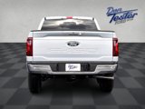 New 2025 Ford F150 XLT w/ Equipment Group 302A MID image 5