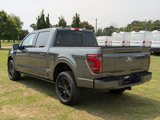 New 2025 Ford F150 Platinum image 5
