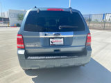 Used 2010 Ford Escape Limited image 6