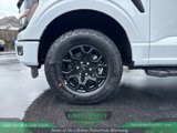 New 2025 Ford F150 XLT w/ Equipment Group 302A MID image 5