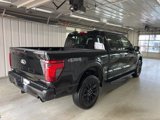 New 2025 Ford F150 XLT w/ Equipment Group 303A High image 5