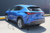 Used 2025 Lexus NX 350h AWD w/ Premium Package image 3